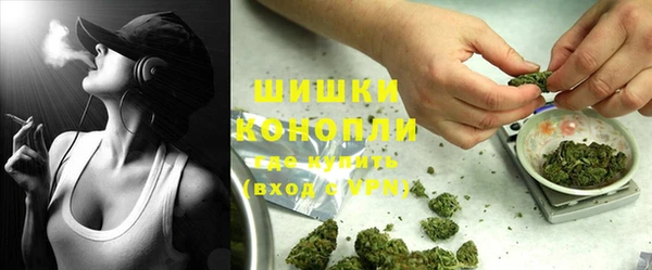 спиды Каменка
