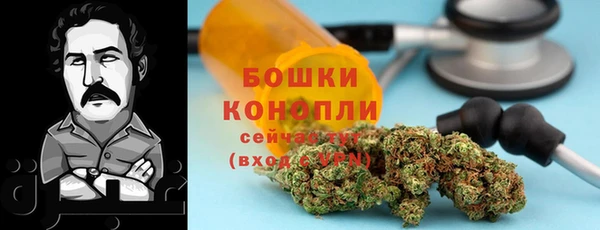спиды Каменногорск