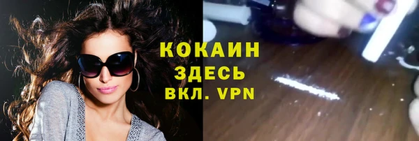 хмурый Инсар