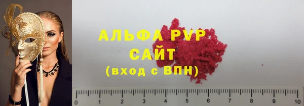 спиды Каменка