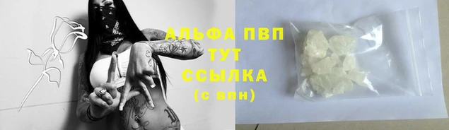 ешки Инта
