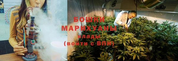 сатива Кинешма
