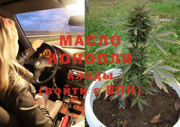 спиды Каменногорск