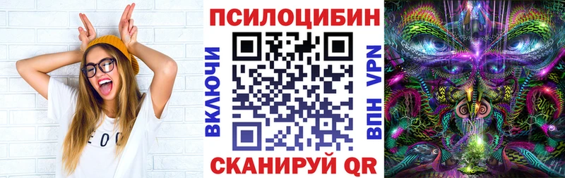 Псилоцибиновые грибы Cubensis  продажа наркотиков  Ставрополь 